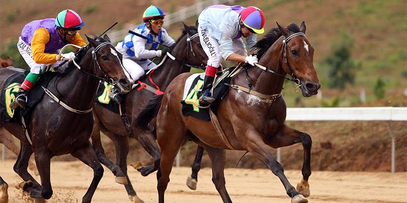Horse Racing Betting Odds Explained Comprehensively